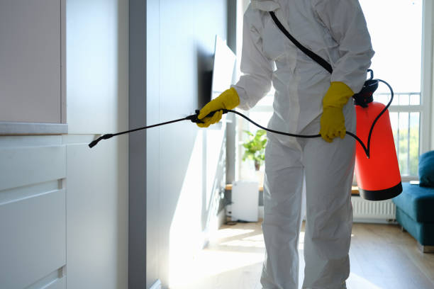 Best DIY Mold Remediation Support Services in Bangor Base, WA